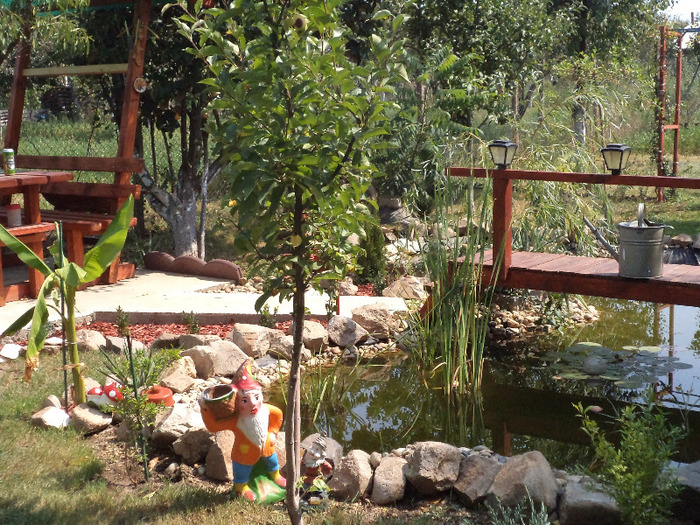 DSC00906 - IAZ deliu