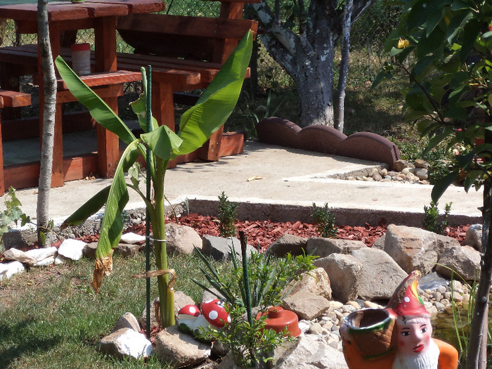 DSC00907 - IAZ deliu