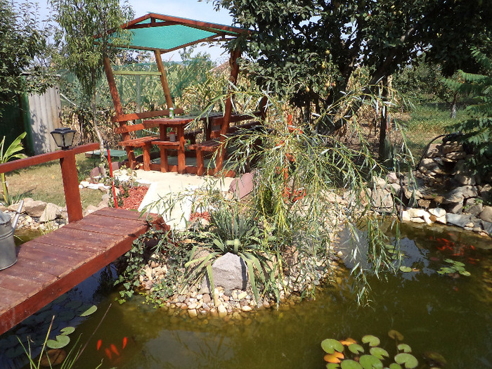 DSC00917 - IAZ deliu