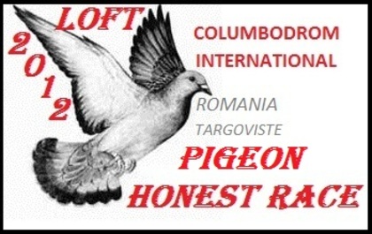 pigeon1 - x-banner