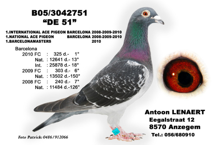 3042751-05 AS Barcelona - Pigeons Maraton