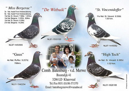 batenburg top racers - Pigeons Maraton