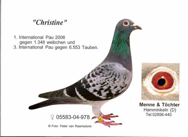 Christine.1 Int. Pau 2006 - Pigeons Maraton