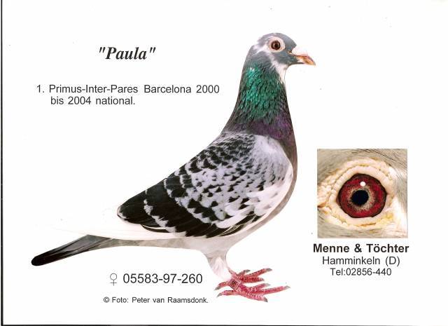 Paula. - Pigeons Maraton