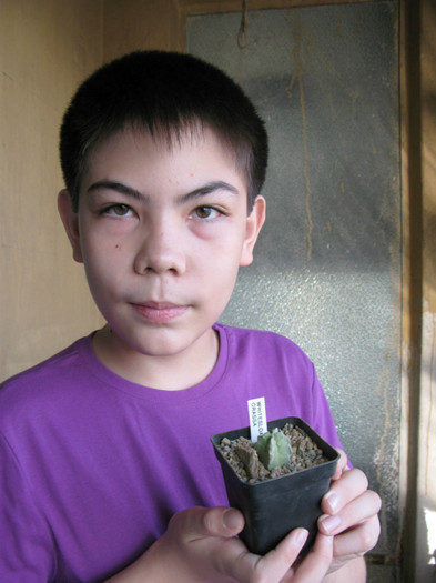 Florin si Whitesloanea crassa - Asclepiadaceae  Aizoaceae