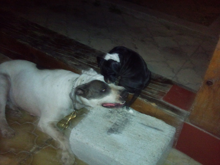 Photo383 - Sara si Leo