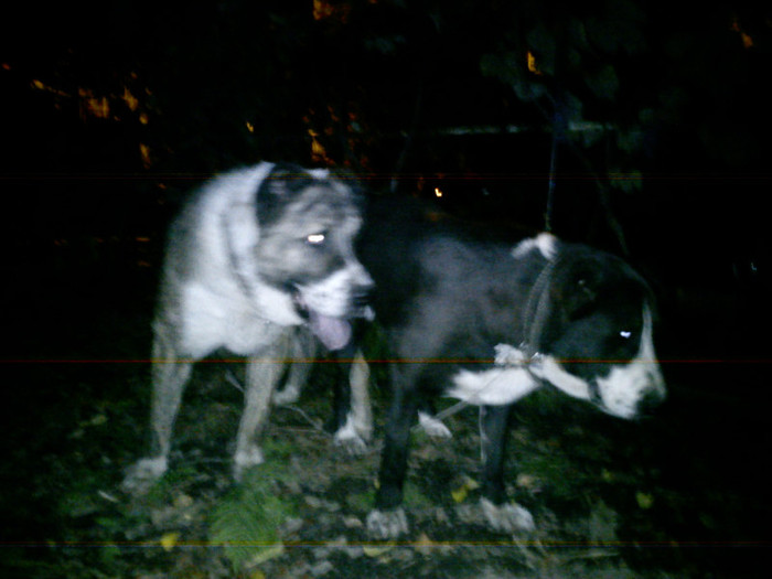 DSC05235