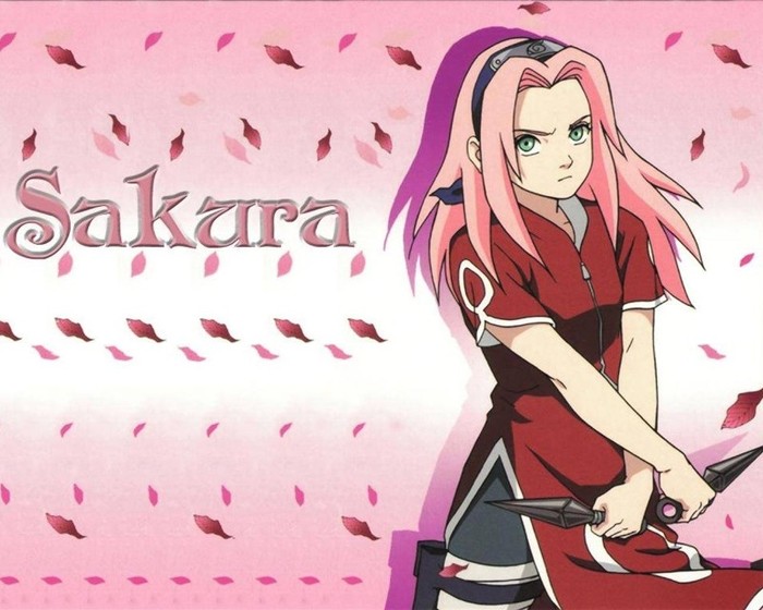 17 - Sakura Haruno
