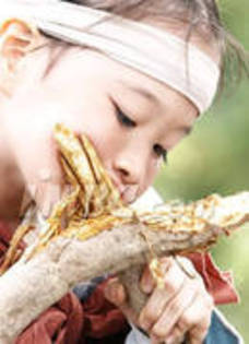 janggeum copil. (19)