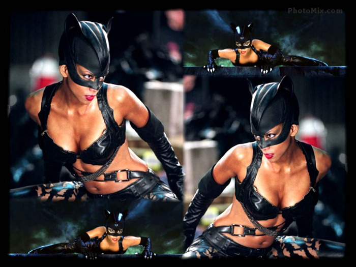 Catwoman-halle-berry-263498_1024_768 - Cat Woman