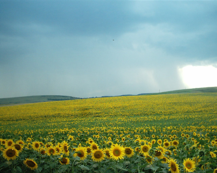 Undeva langa Strunga - Calatorii prin Romania