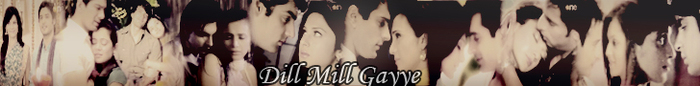 banner3g - DILL MILL GAYYE BANNERS