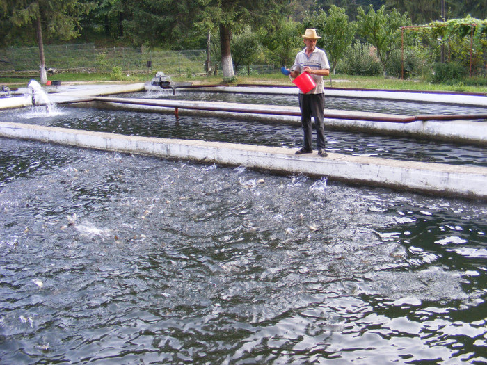 nesatui ca intotdeauna