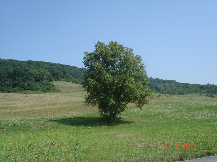 Peisaj din zona Sambata de sus