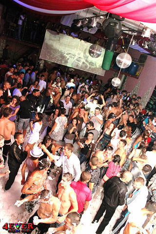 51786868588780 - Vasea