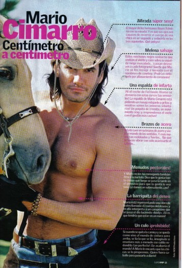 aarticulosuperpooctubre20051ca