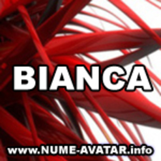 062-BIANCA%20avatare%20cu%20toate%20numele[1] - numele meu