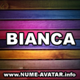 062-BIANCA%20avatare%202010[1] - numele meu