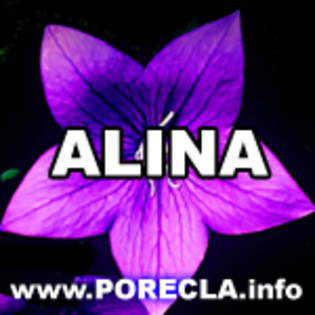 507-ALINA super avatare 2010 - poze pentru toate gusturile