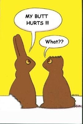 funny-rabbits - Haioase