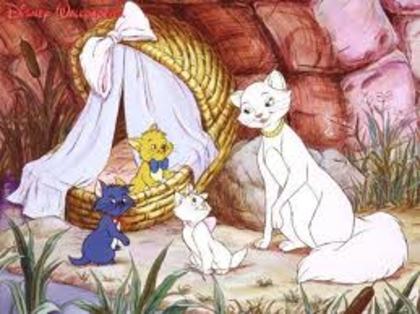 images (28) - poze Disney Channel