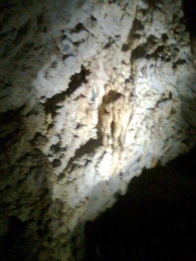 baloane 287 - poze 2011