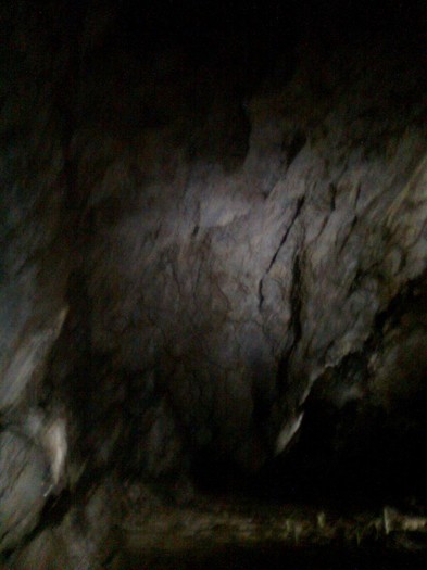 baloane 292