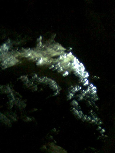 baloane 304