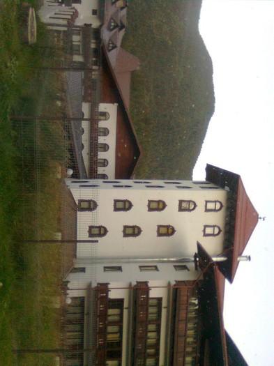 baloane 311