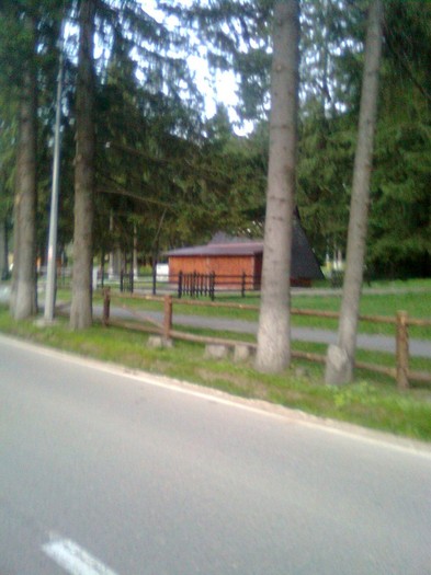 baloane 324 - poze 2011