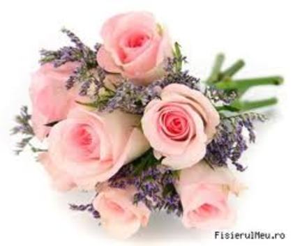 images (32) - poze flori