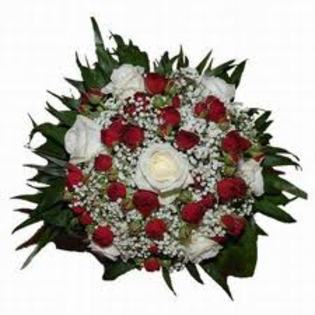images (38) - poze flori