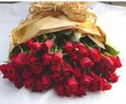 images (42) - poze flori