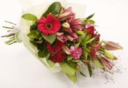 images (46) - poze flori