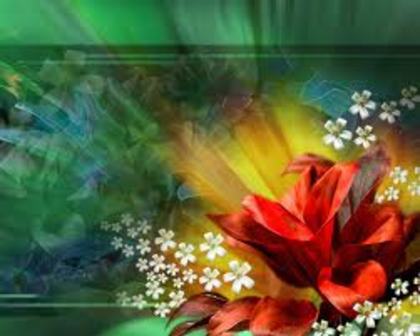 images (2)