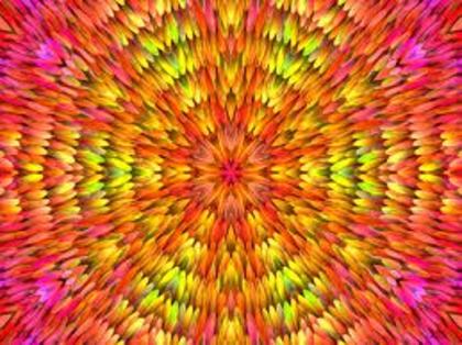 images (5)