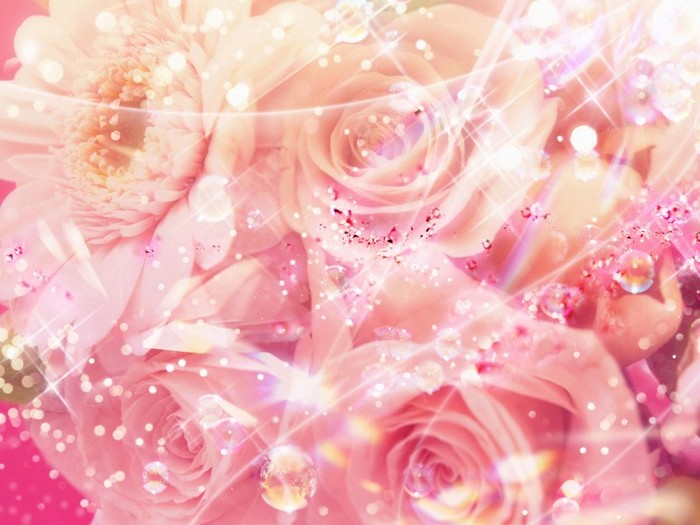 Pink_roses