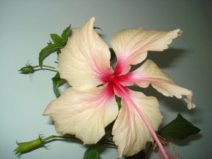 DSC00031