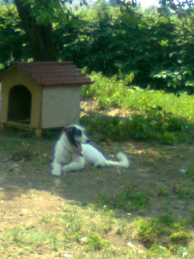 baloane 117 - poze din maramures 2011