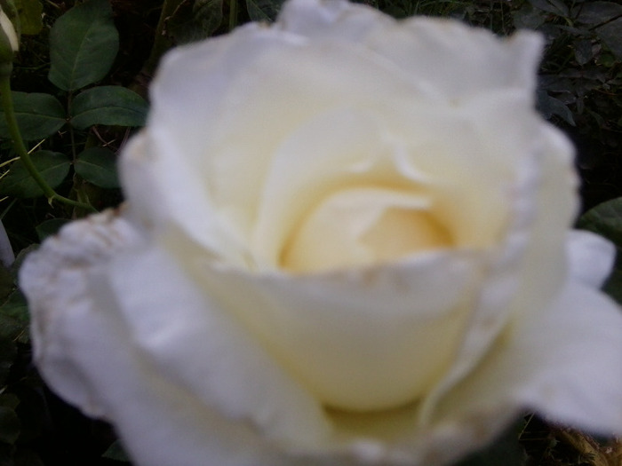 Fotografie0253