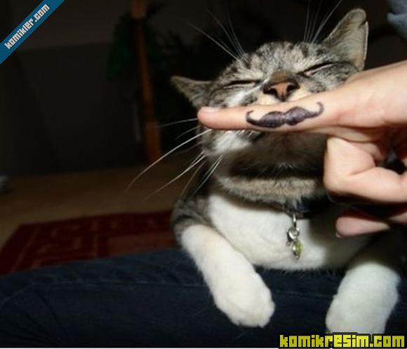 20110413_2_1302692528_oen1