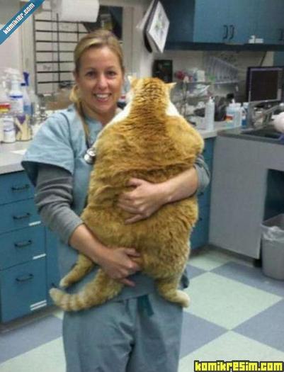 20110414_2_1302776586_r2n6