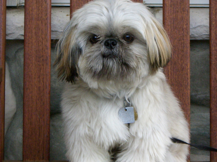 150x150-4-0-8-40881-CIMG0353