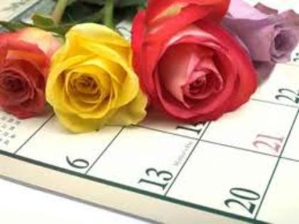 images (13) - poze flori