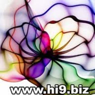 images (1)