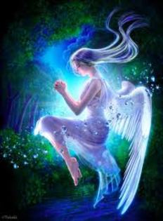 images (16)