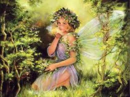 images (22)