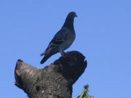 images (26)