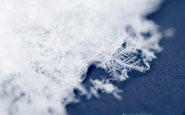 Snow_Stars - Iarna