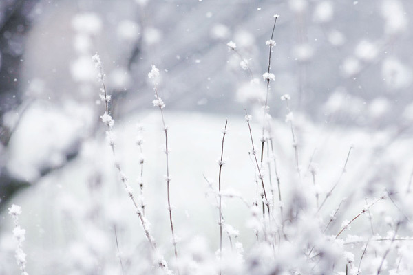 winter-wonderland - Iarna
